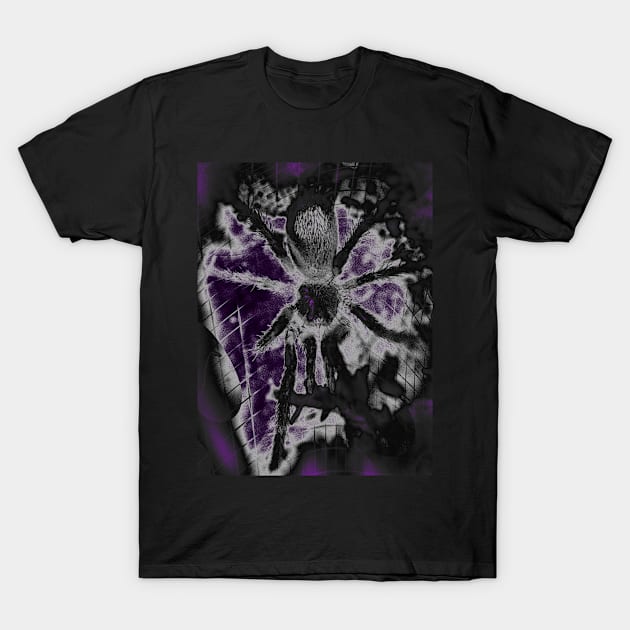 Tarantula Spiderling V36 T-Shirt by IgorAndMore